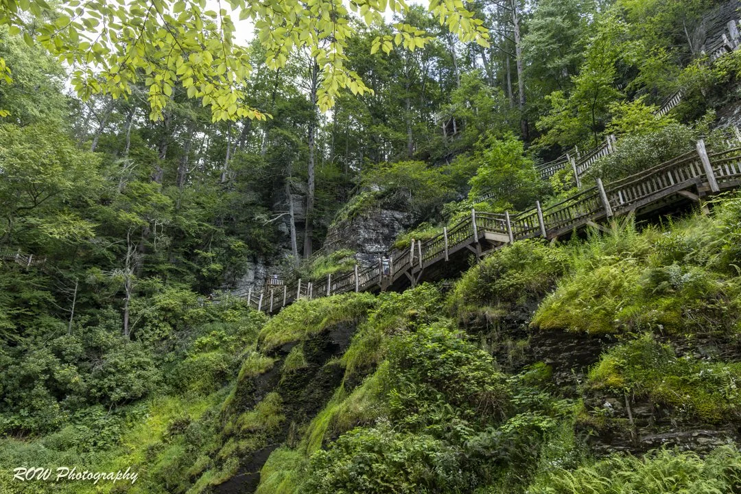 Upper Canyon-2.jpg