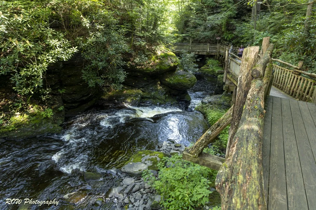 Laurel Glen-8.jpg