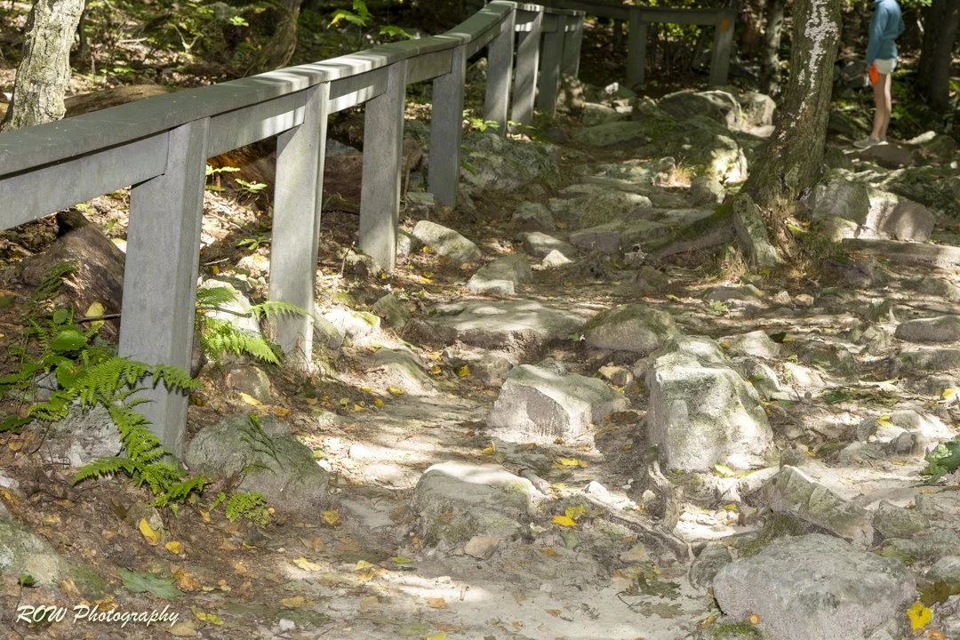 Rocky path-1.jpg