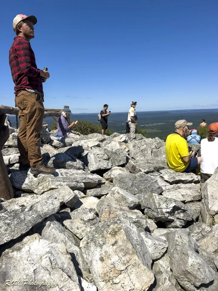North Lookout View - Spotters and Tourists