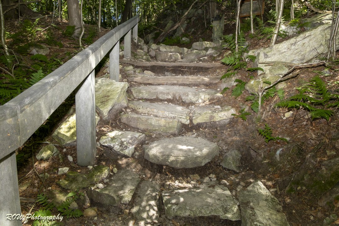 Rocky path-1-2.jpg