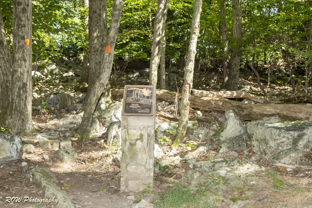 Directions-1-2.jpg