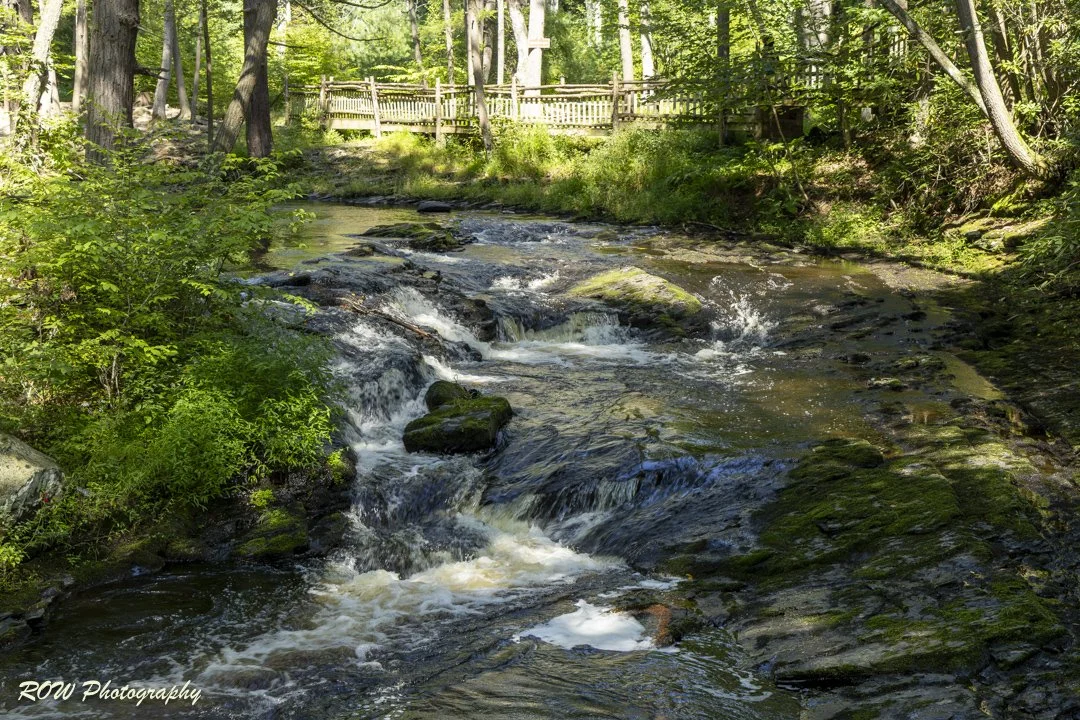 Upper Canyon-2-3.jpg