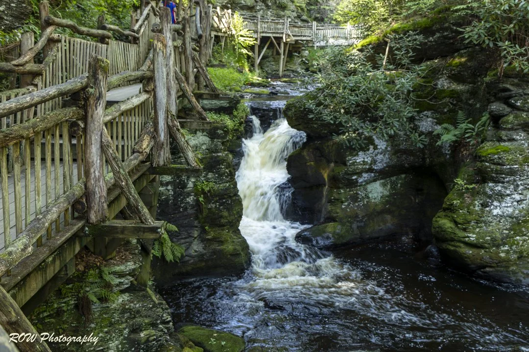 Laurel Glen-7.jpg