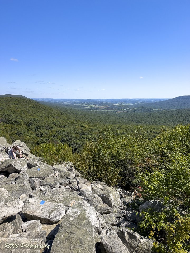 View at the Top-1.jpg