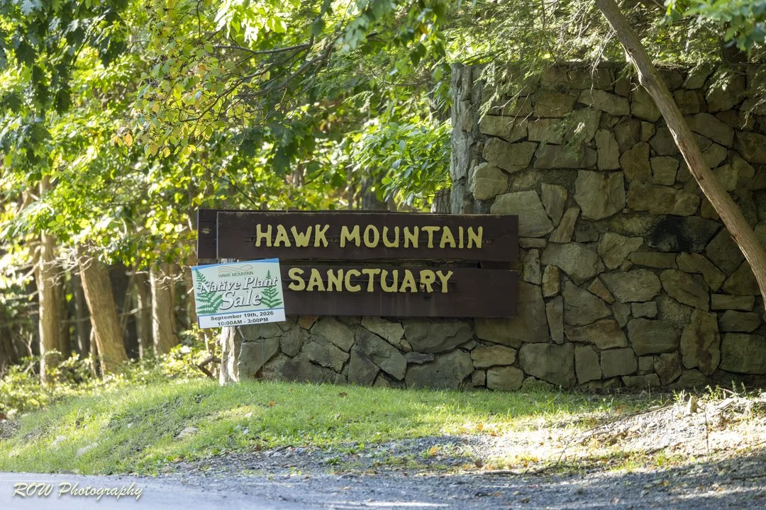 Hawk Mountain Pics-1.jpg