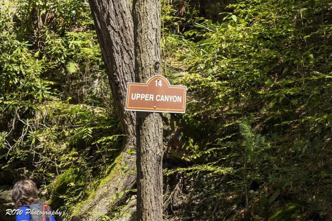 Upper Canyon-1-3.jpg