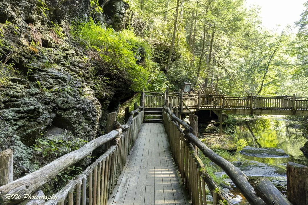 Laurel Glen-3.jpg