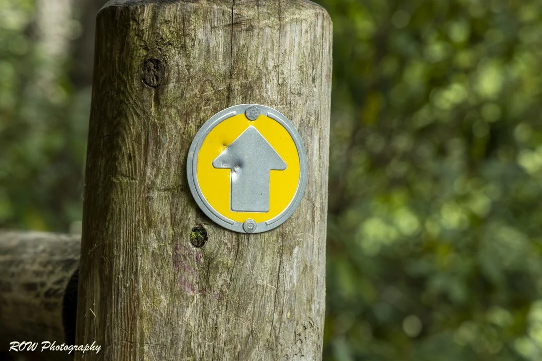 Follow the Yellow Path
