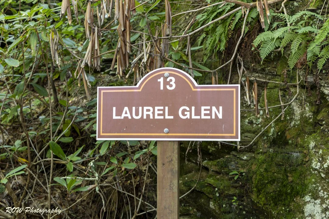 Laurel Glen-6.jpg