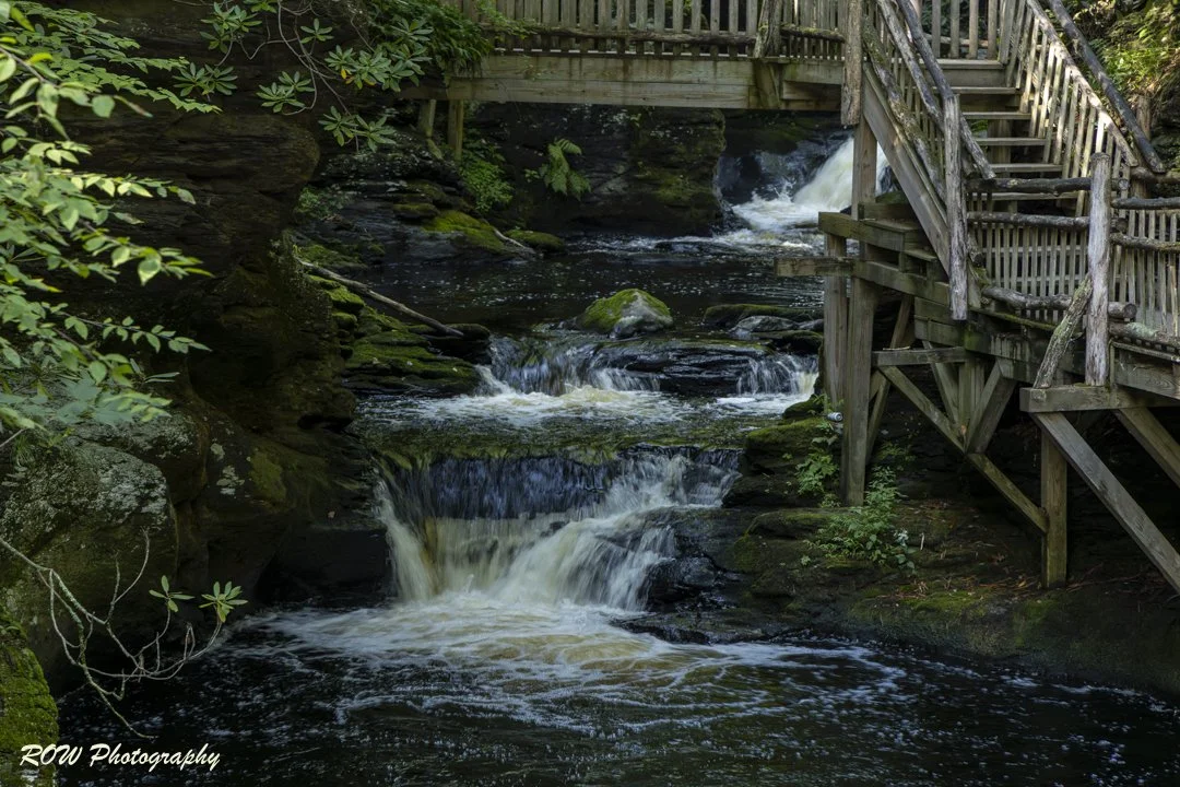 Laurel Glen-1.jpg