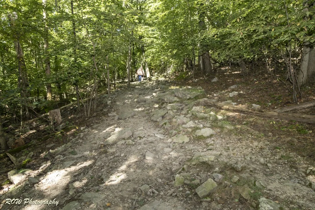 Rocky Path-1-4.jpg
