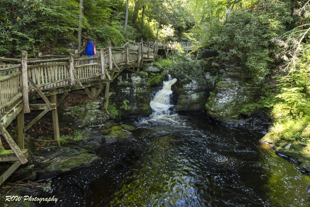 Laurel Glen-5.jpg