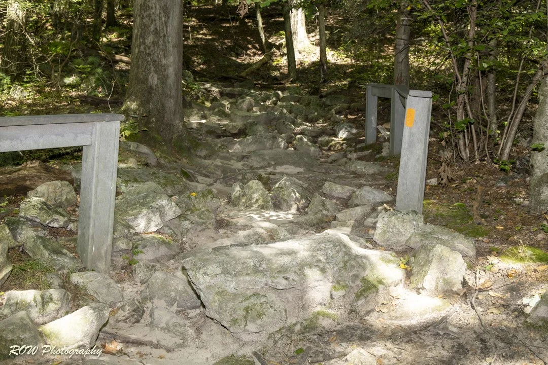 Rocky path-1-3.jpg