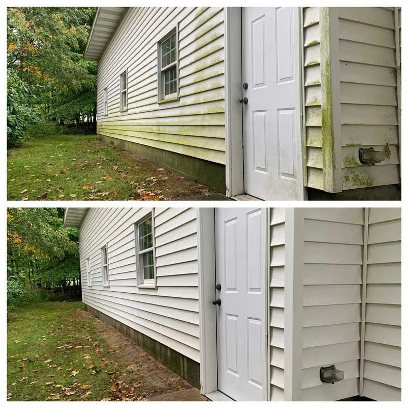 spokane siding algae soft washing before after example