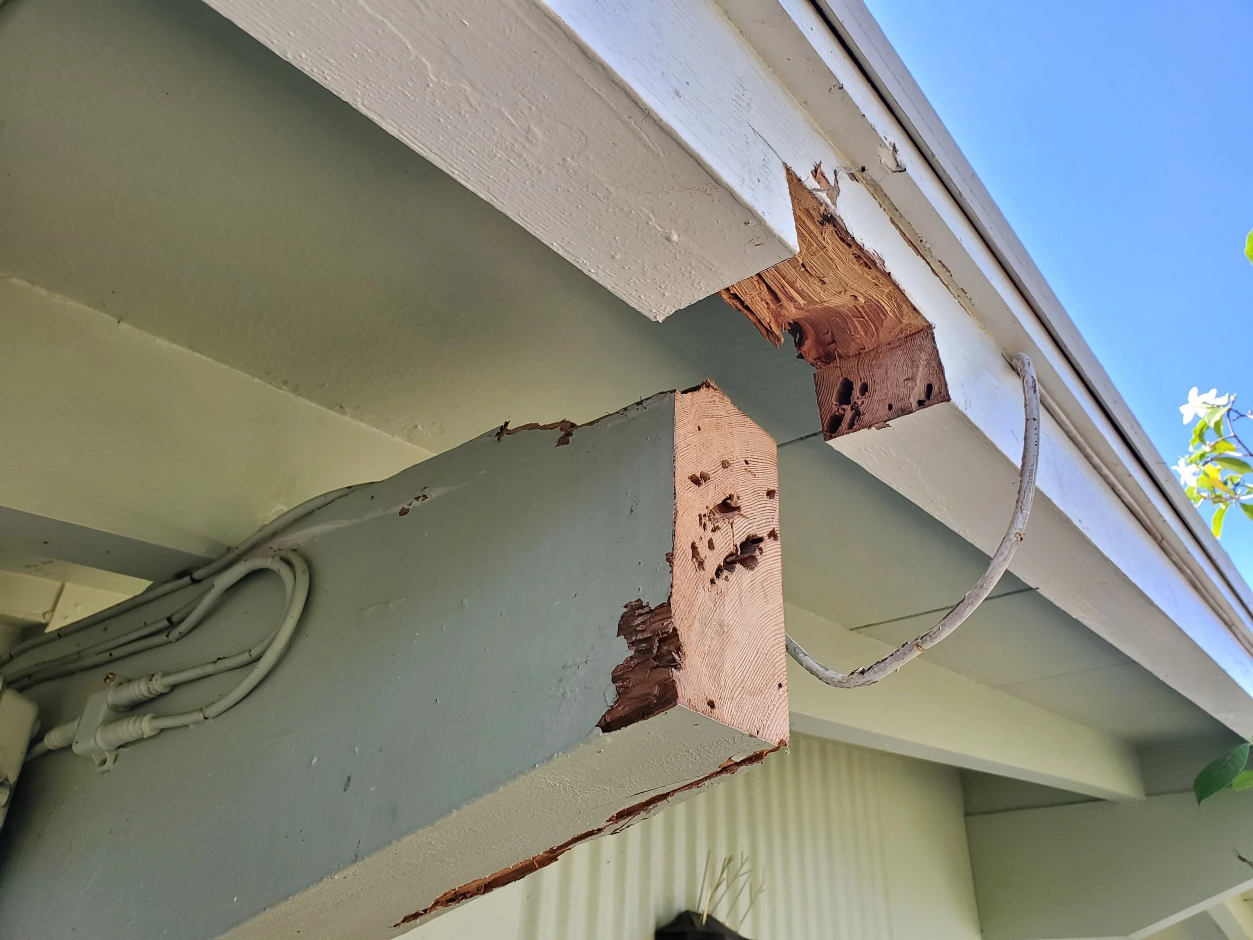 soffit eaves beam rot repair