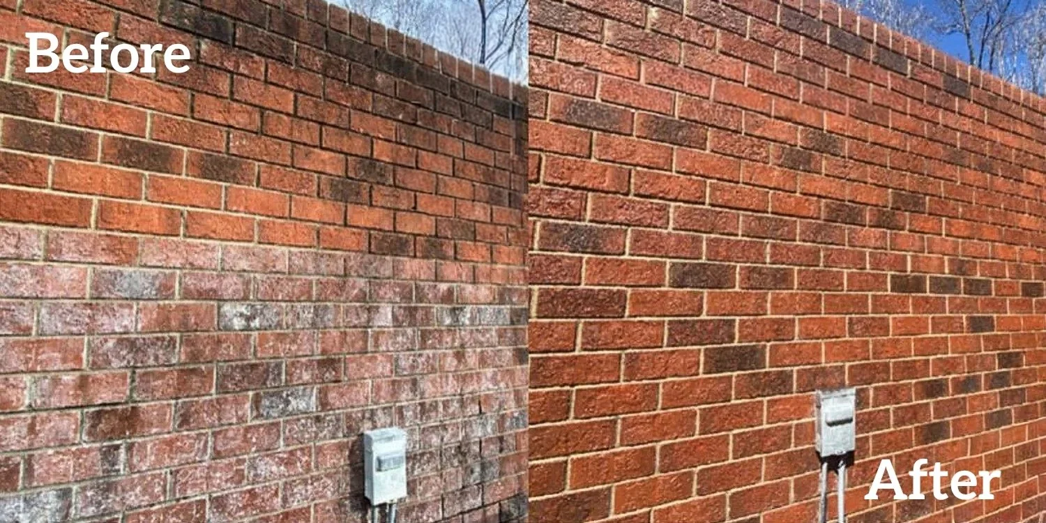 red brick wall before/after pressure washing