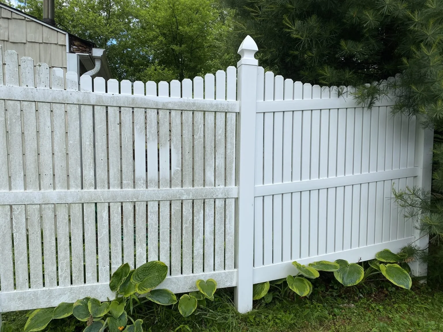 white vinyl fence before after cleaning