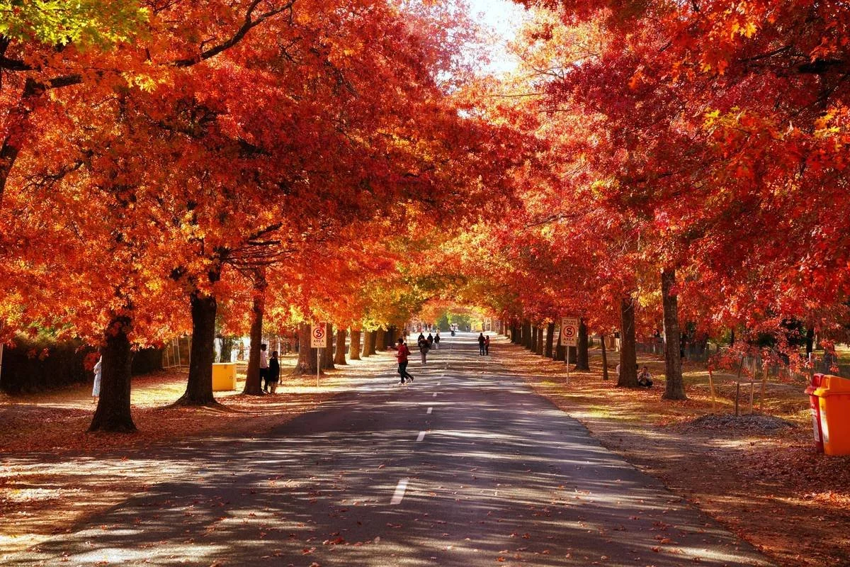 Autumn Run and Lunch to Marburg