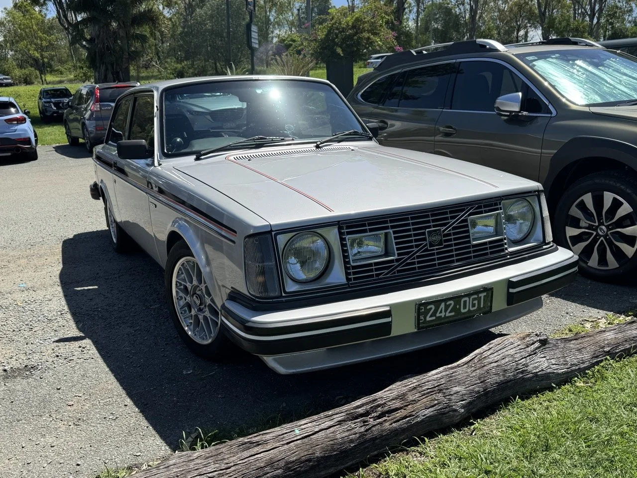 Christmas 2025IMG_2497 Large.jpeg