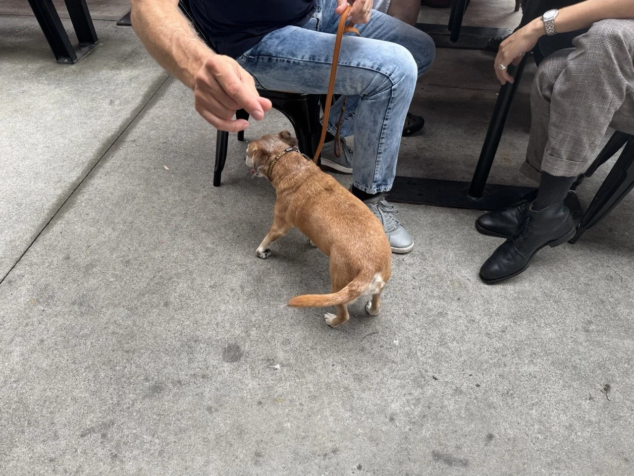 Pre Rallt Meeting_3024 Large.jpeg