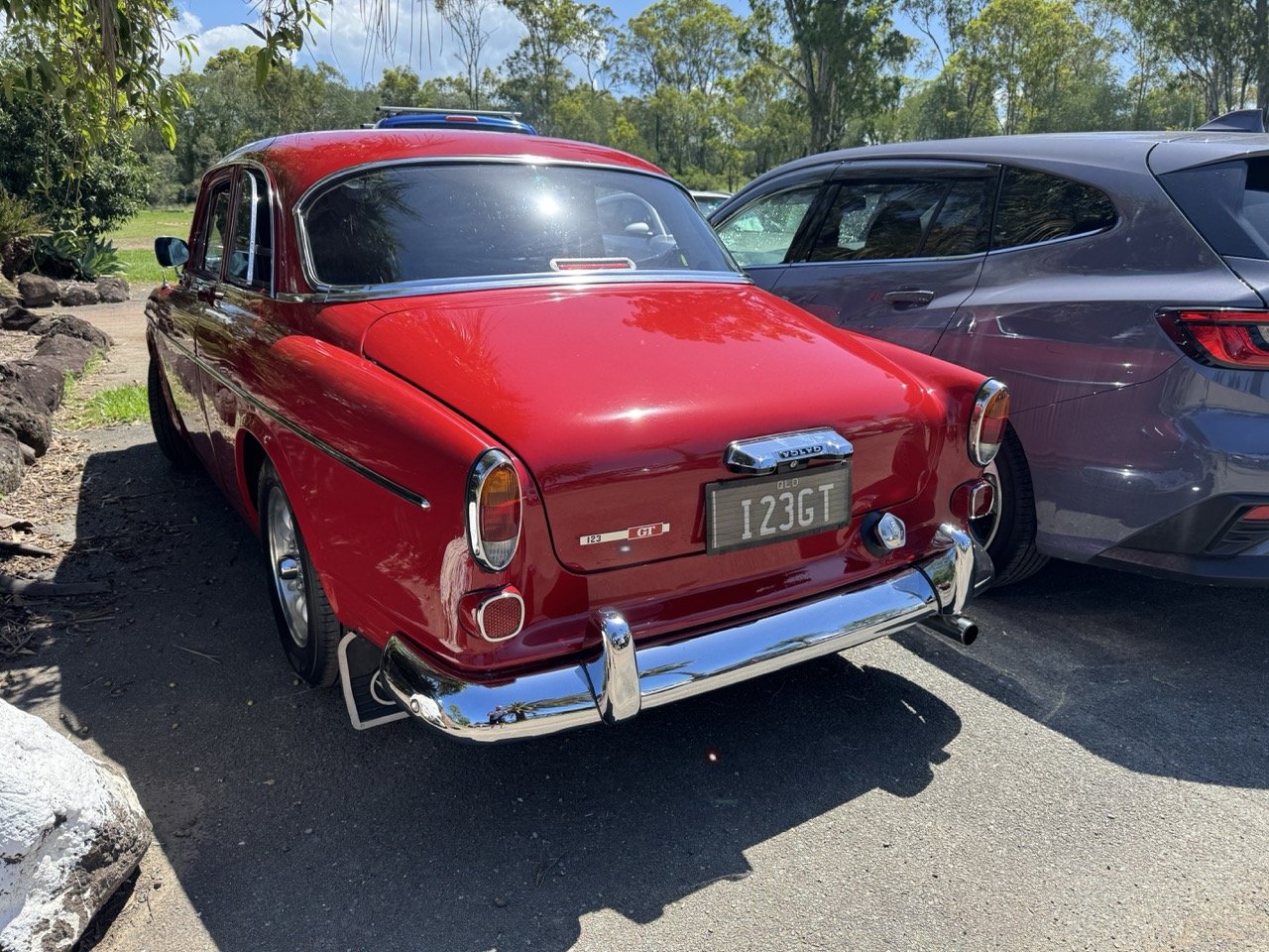 Christmas 2025IMG_2493 Large.jpeg