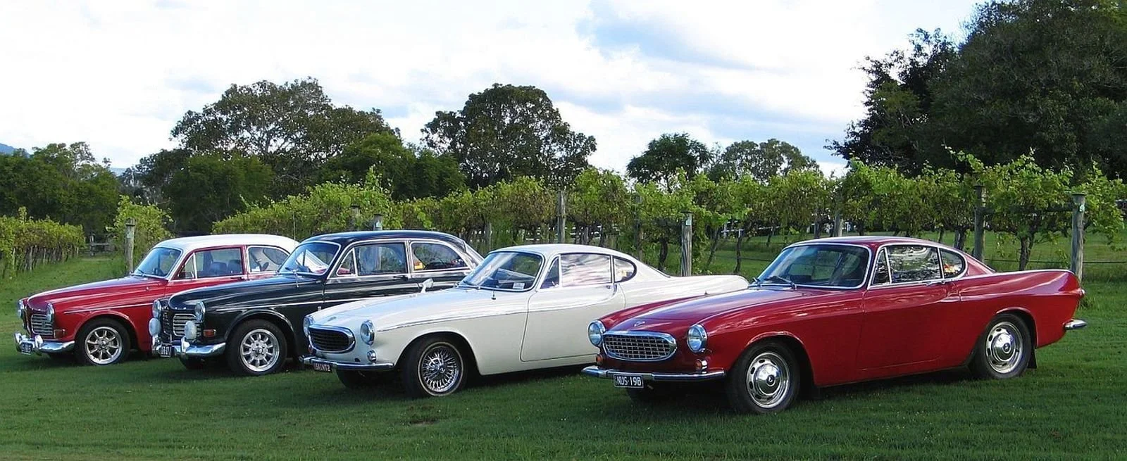 2014 Vineyard Beaudesert