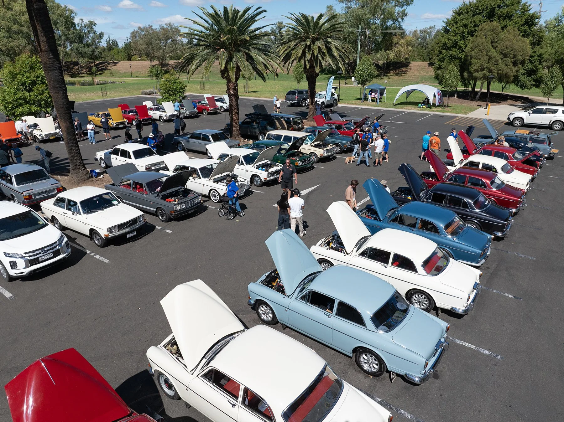 Steve Gonsalves Photographics