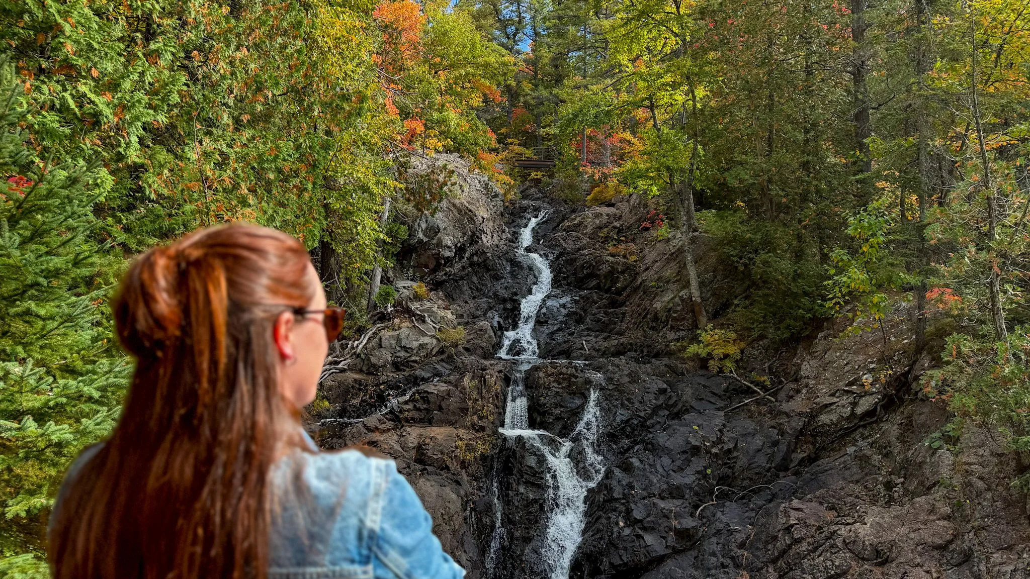 A woman sitting on rock with a view of dense forest and lake huron