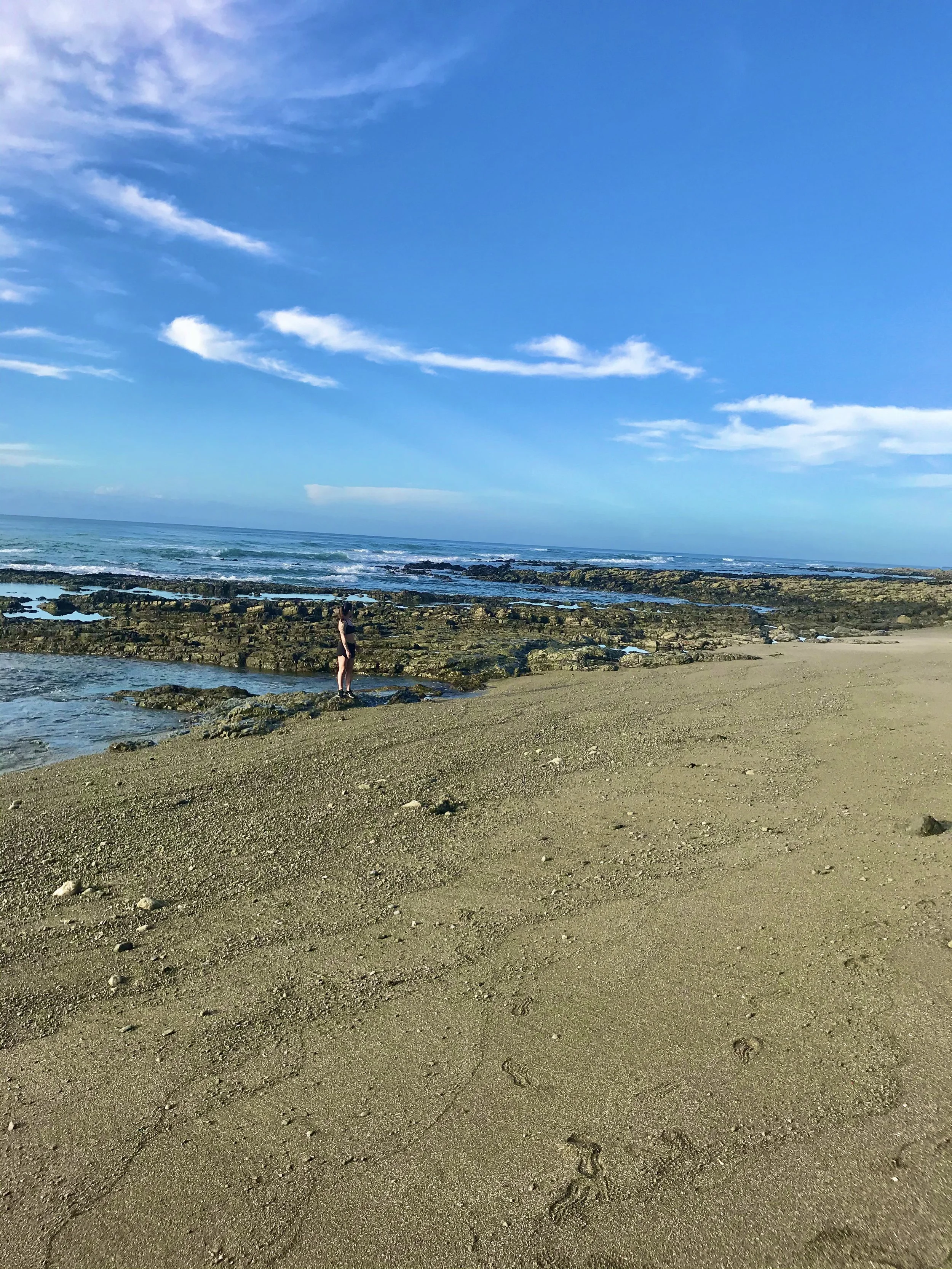 IMG_5384.jpeg