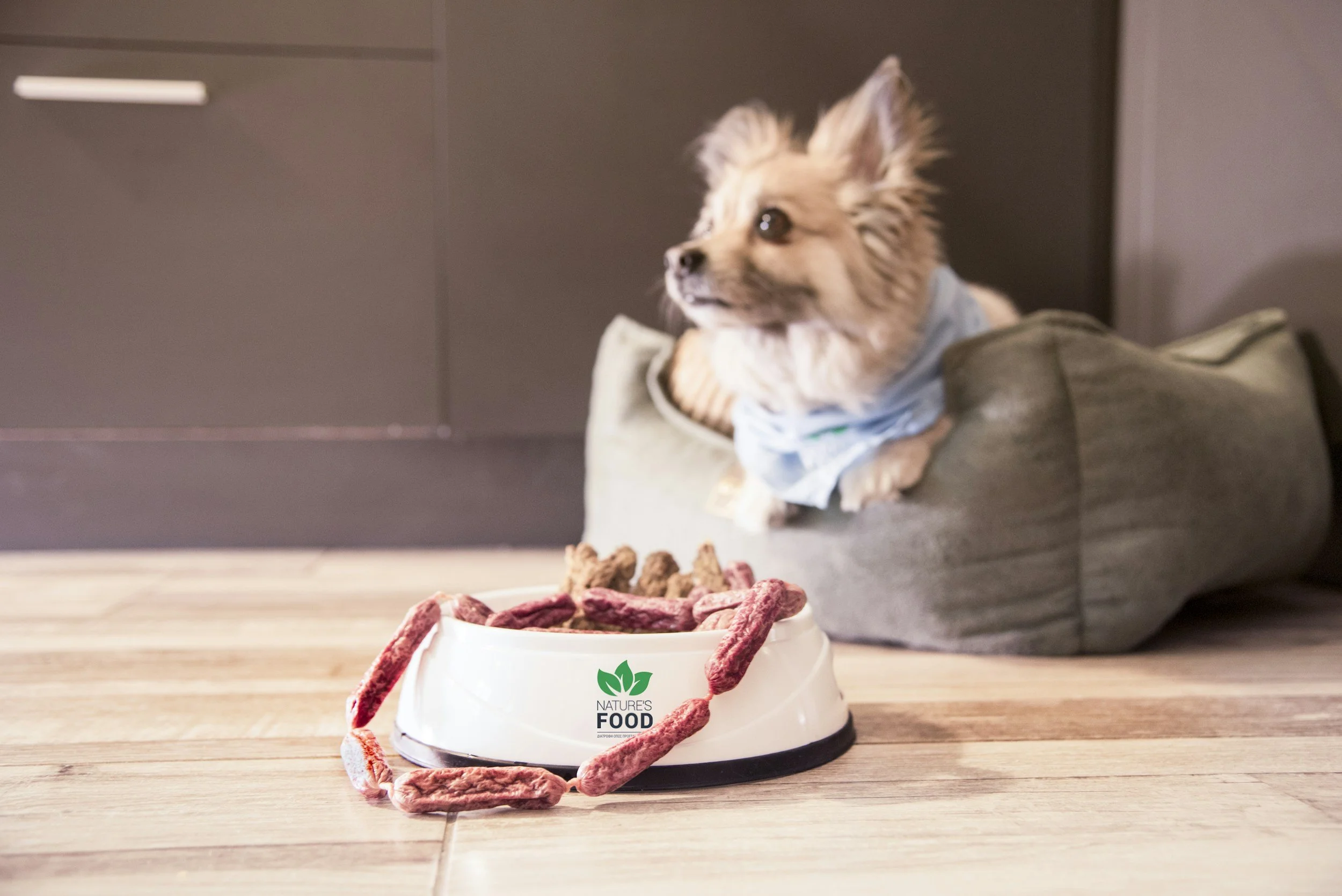 House Manners - $200 