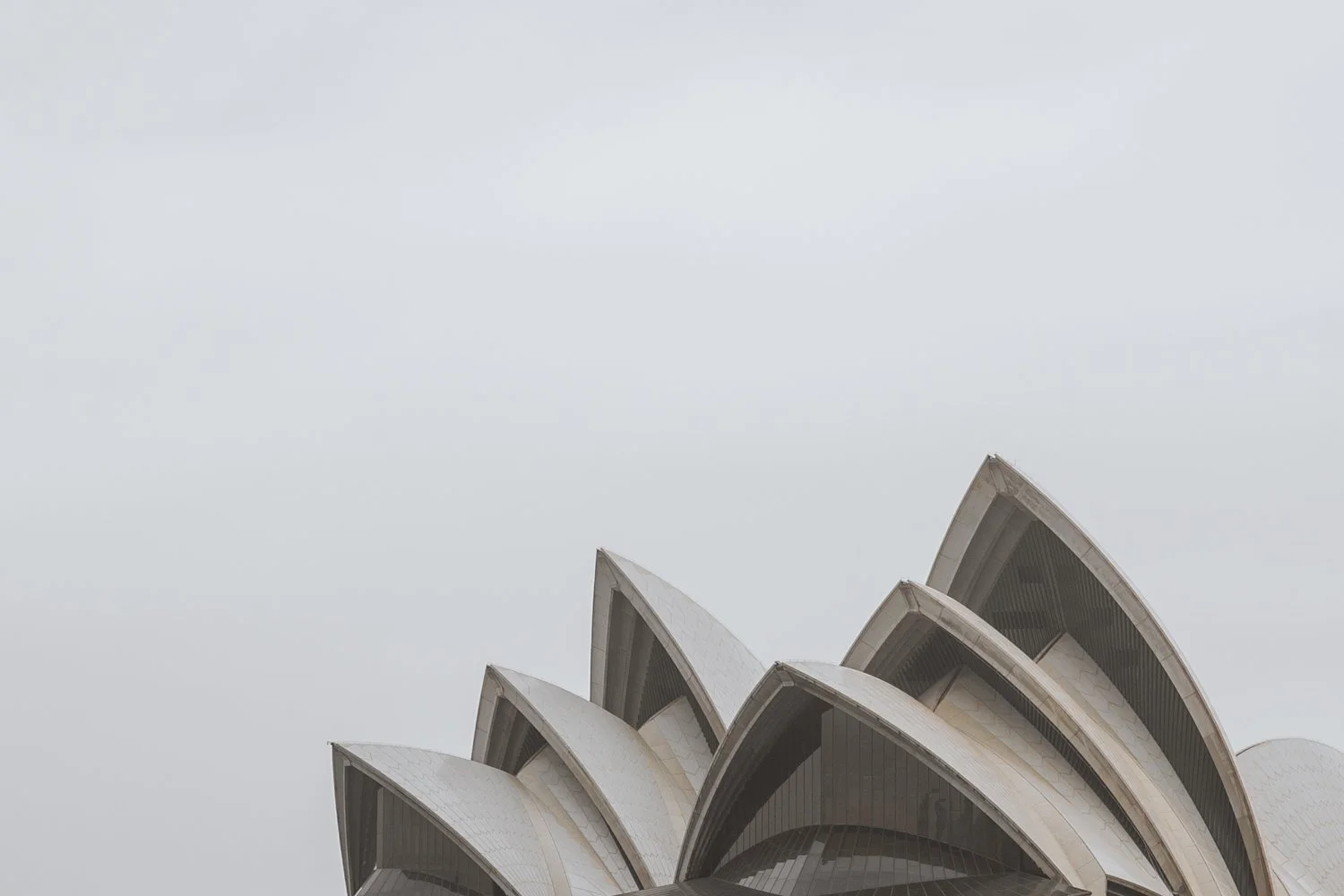 20190219_Aussie_0020_WEB.jpg