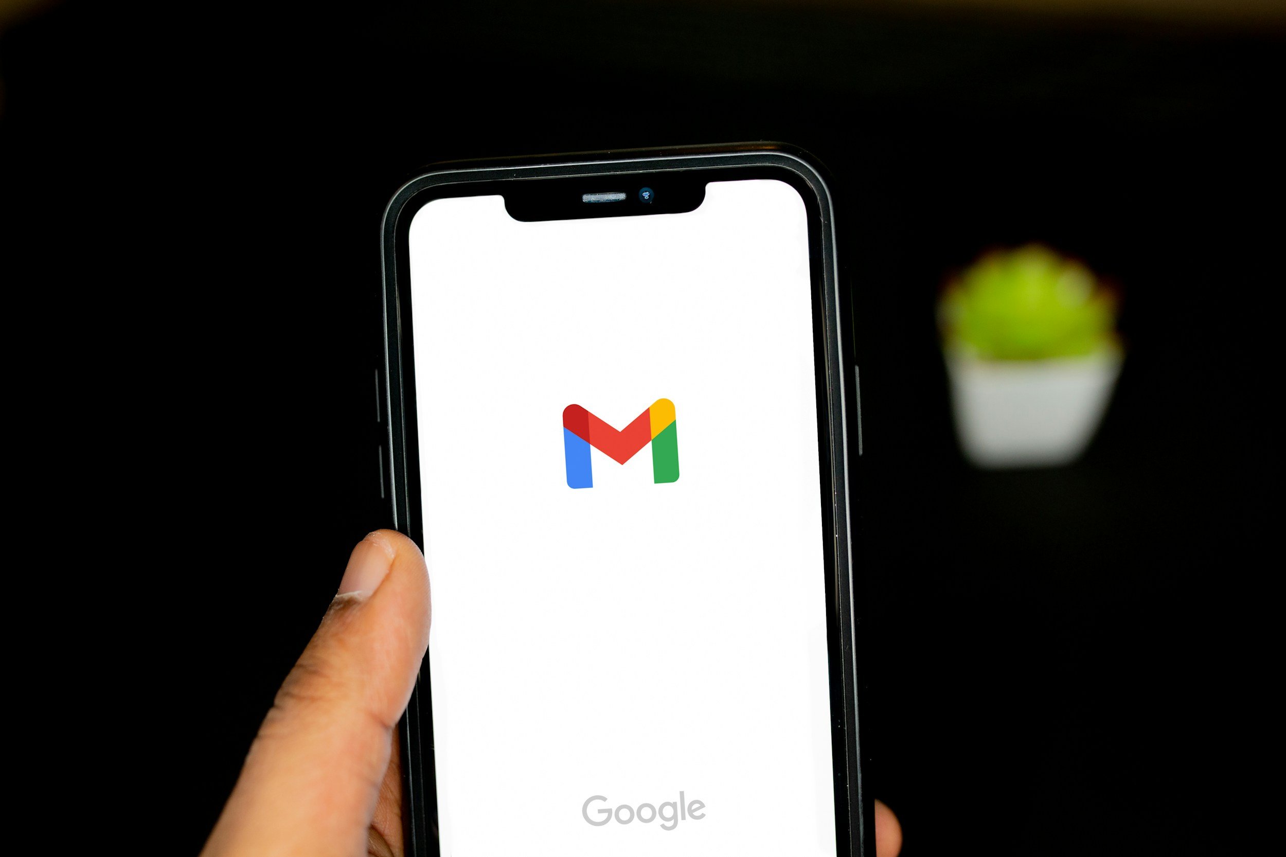 Person holding a smartphone displaying the Gmail logo on screen with a blurred plant in the background.