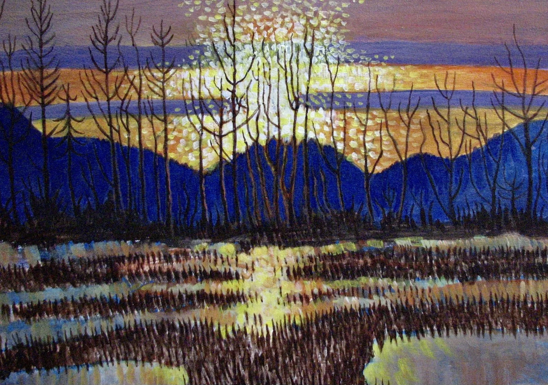 Pitt Polder Sunset