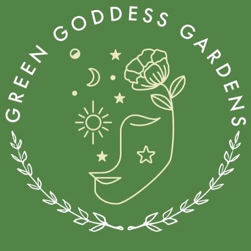 🌿 Name update
Green Goddess Garden Consulting (Coach) is now Green Goddess Gardens.

Same heart, same offerings just a name that better reflects what I grow and share.

Thank you for being here 💚