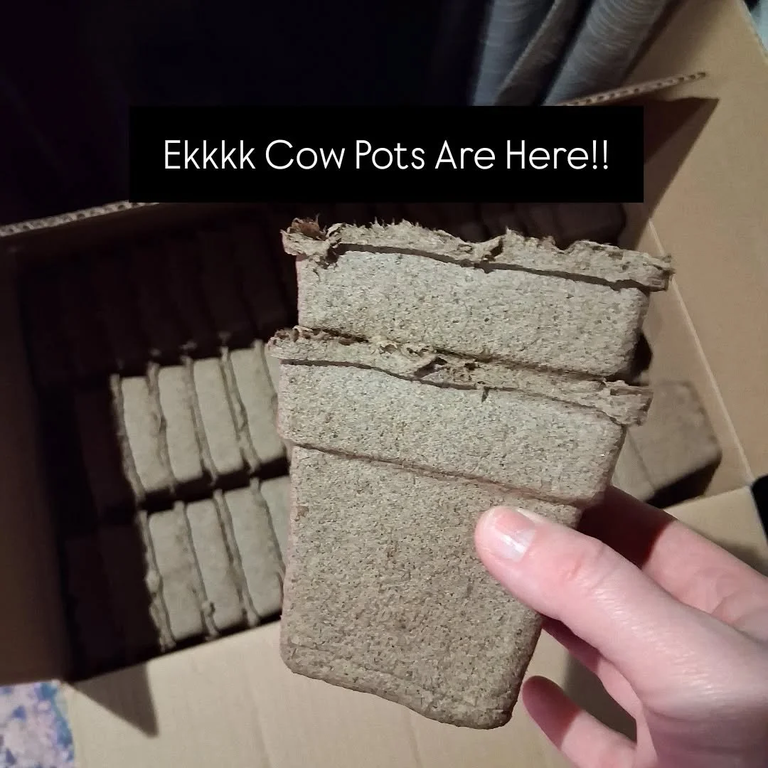 Mid-season pivot! I had intended to use biodegradable grow bags this year since I head read they're made of natural fibers...upon more research they 100% contain plastic 😞. 

I can't use these and tell the community to compost them, they aren't recy