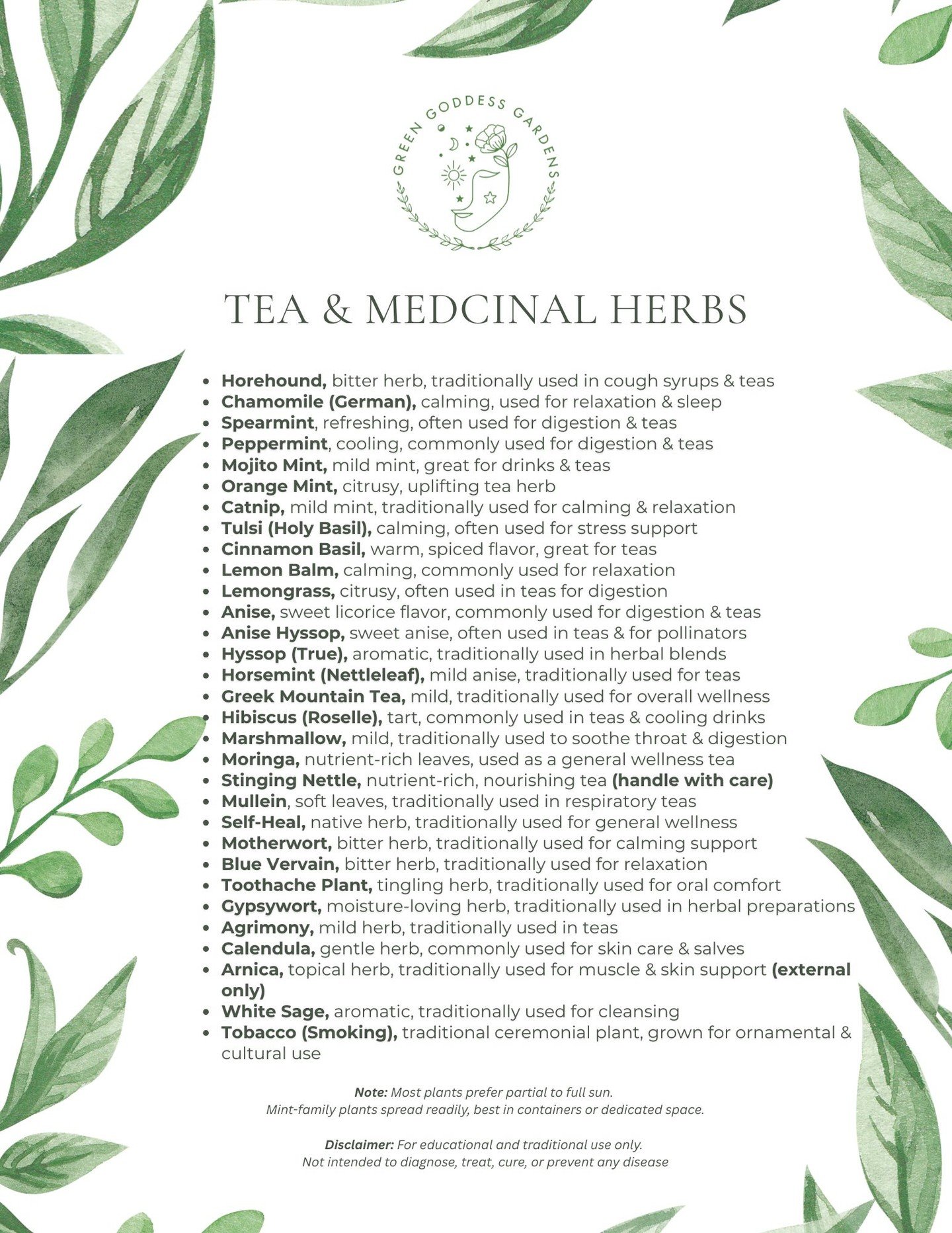 🌿✨ This season, we&rsquo;re growing something special&hellip; ✨🌿

An abundant selection of tea herbs + traditionally used medicinal plants, many lovingly grown in our own garden, alongside a few fresh new additions we&rsquo;re excited to share 🌱

