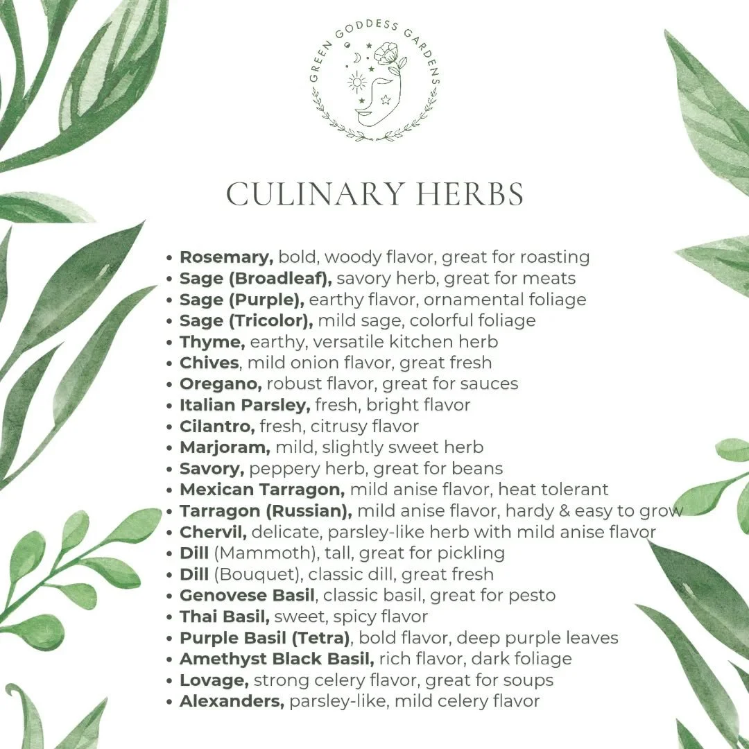 We're cooking...plants! 🍳 Ready with all sorts of culinary herbs. Perfect for containers and companion planting. Add additional herbs to vegetable or strawberry beds help reduce pests. I love to also use herbs in flower bouquets 🪴 🌱 🌿 

See us in