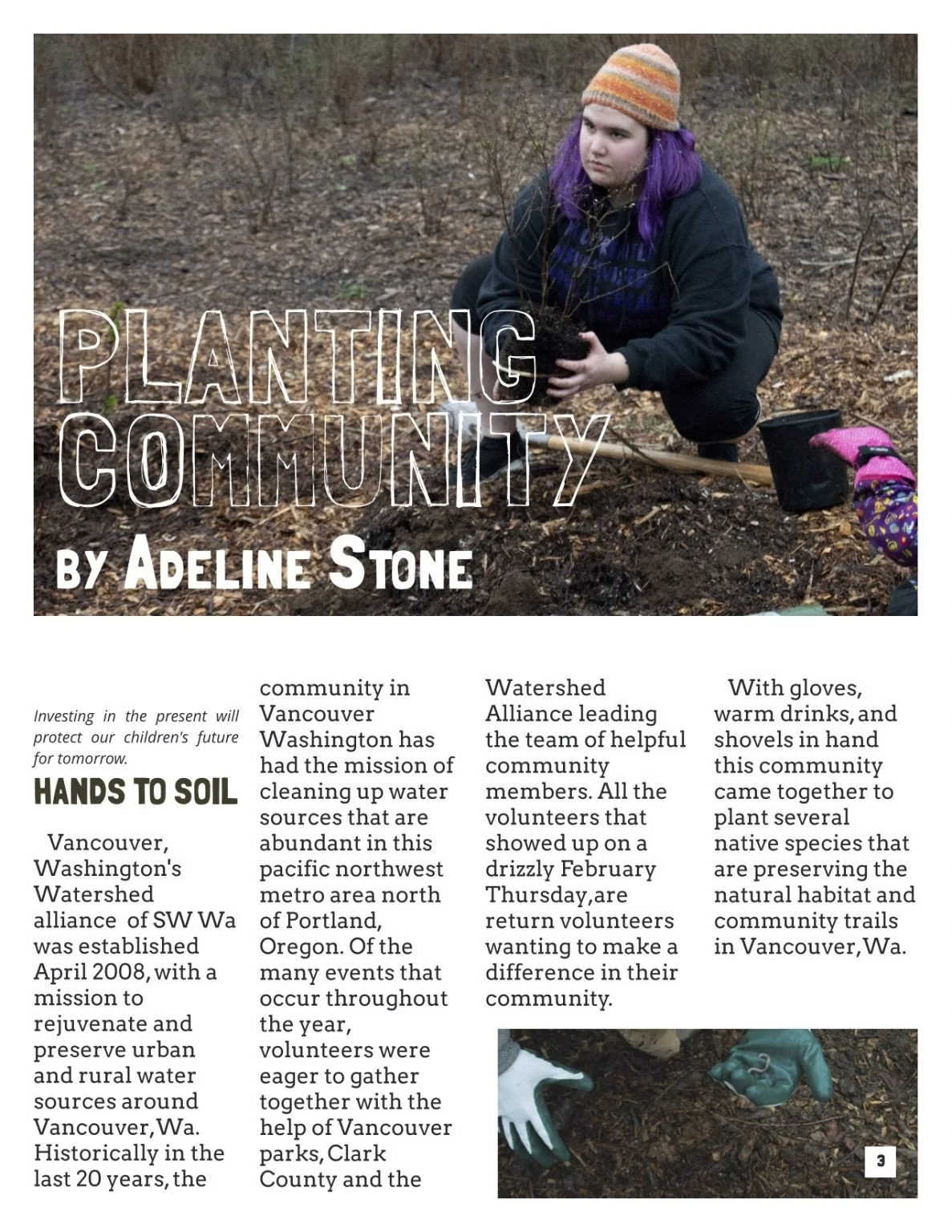 A volunteer with purple hair and a colorful knit hat planting a small pnw native sapling in a garden bed, holding soil in her hands. She is dressed warmly and appears focused on her task.