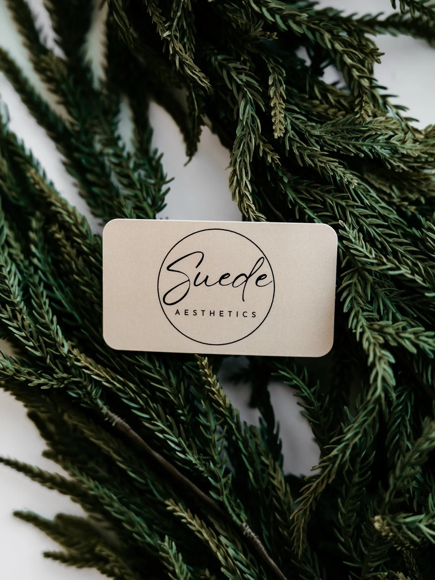 𖠰 The perfect gift 𖠰
 
&lsquo;Tis the season for giving&hellip; and getting 🎁😉
Spend $100 or more on a gift card for someone special and receive a $25 gift card for yourself!
Redeem in-studio or online &mdash; and if you redeem online, just shoot