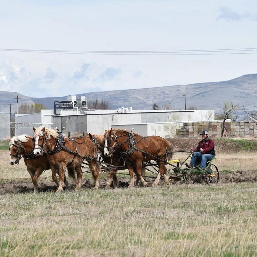 plowing.jpg