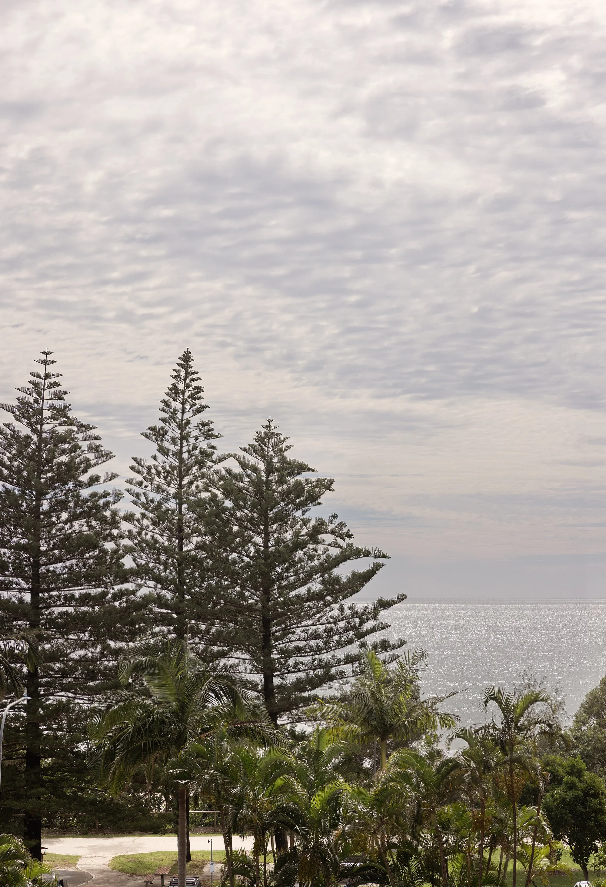 Eskape Burleigh 9 LR.jpg