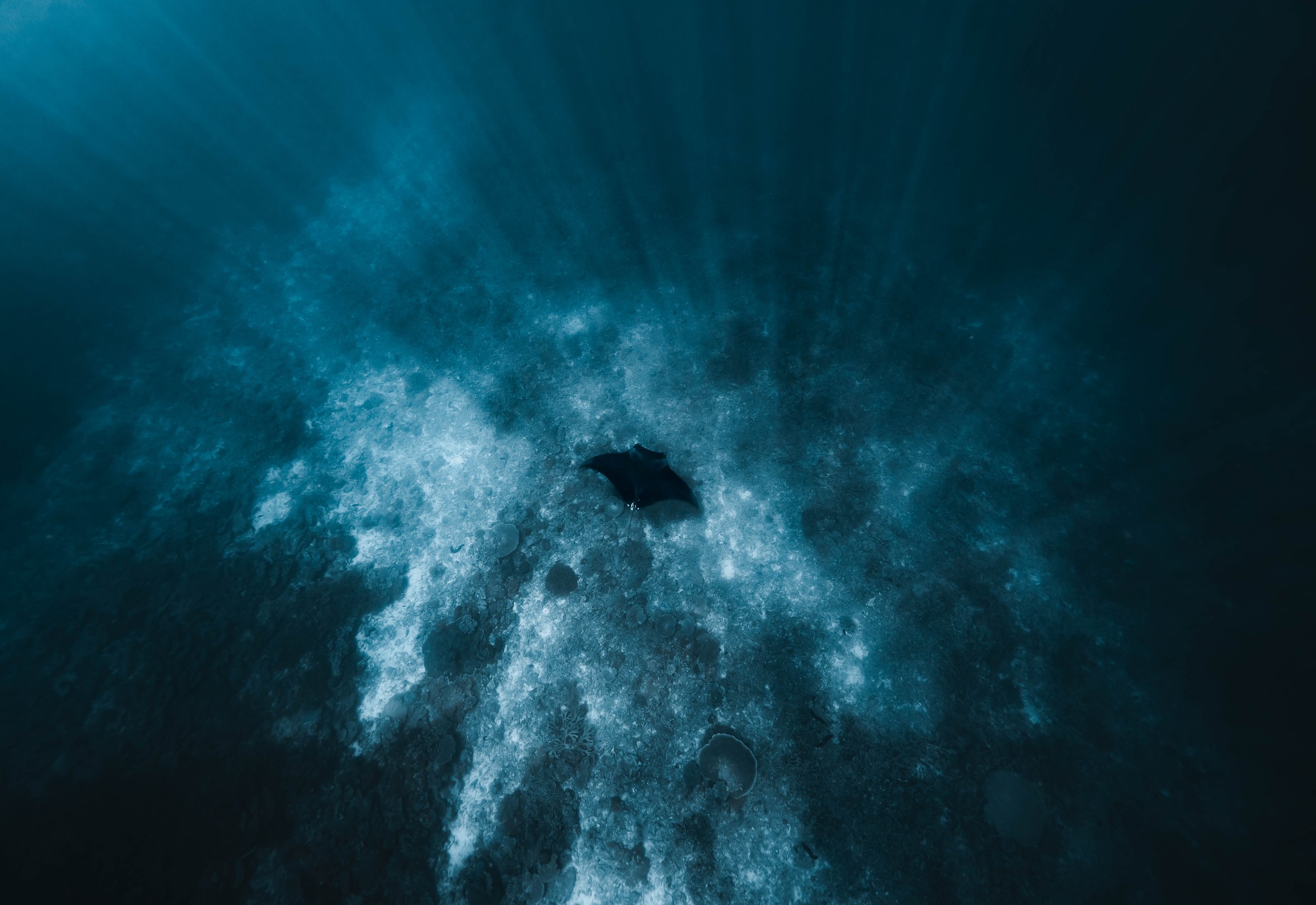 The Deep Blue