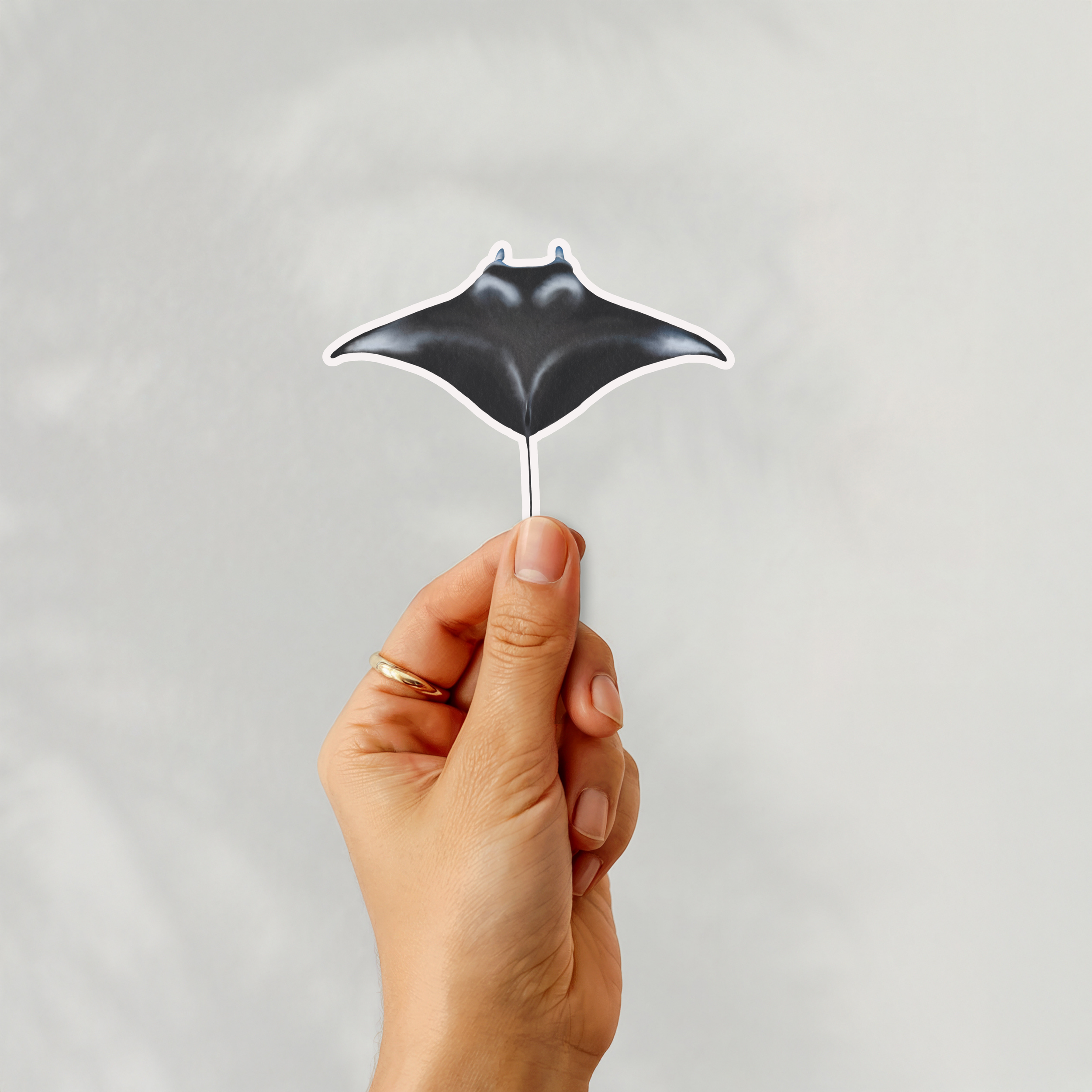 Manta Ray Sticker