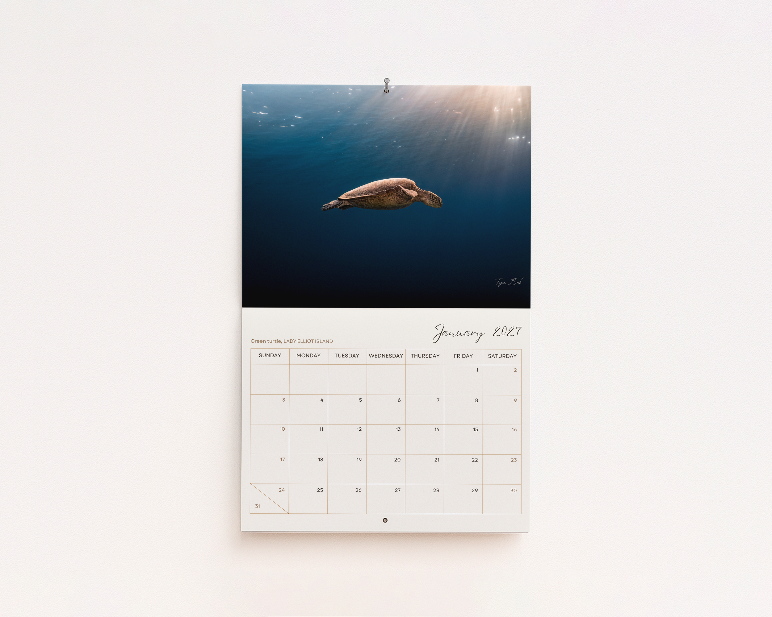 Limited Edition 2027 Calendar
