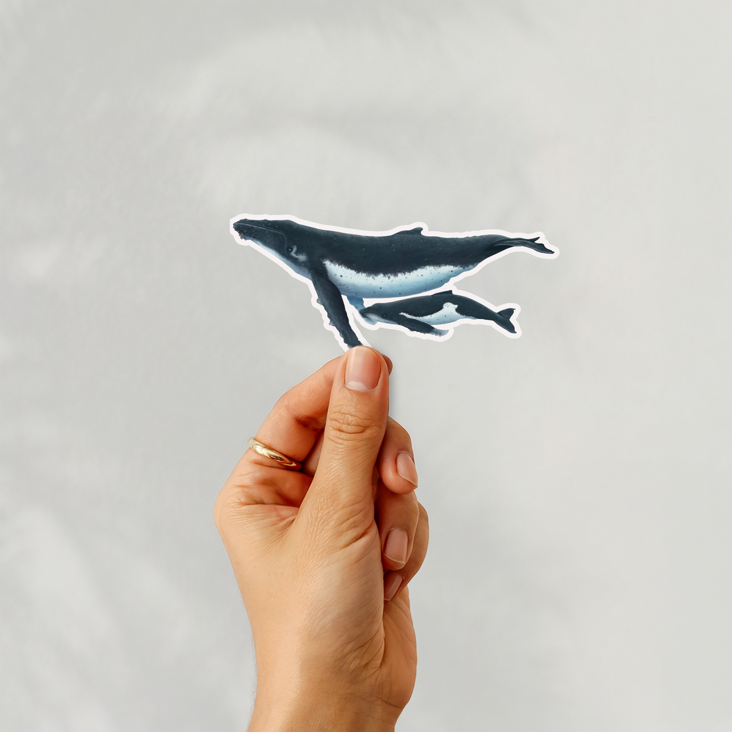 Humpback Whale Sticker
