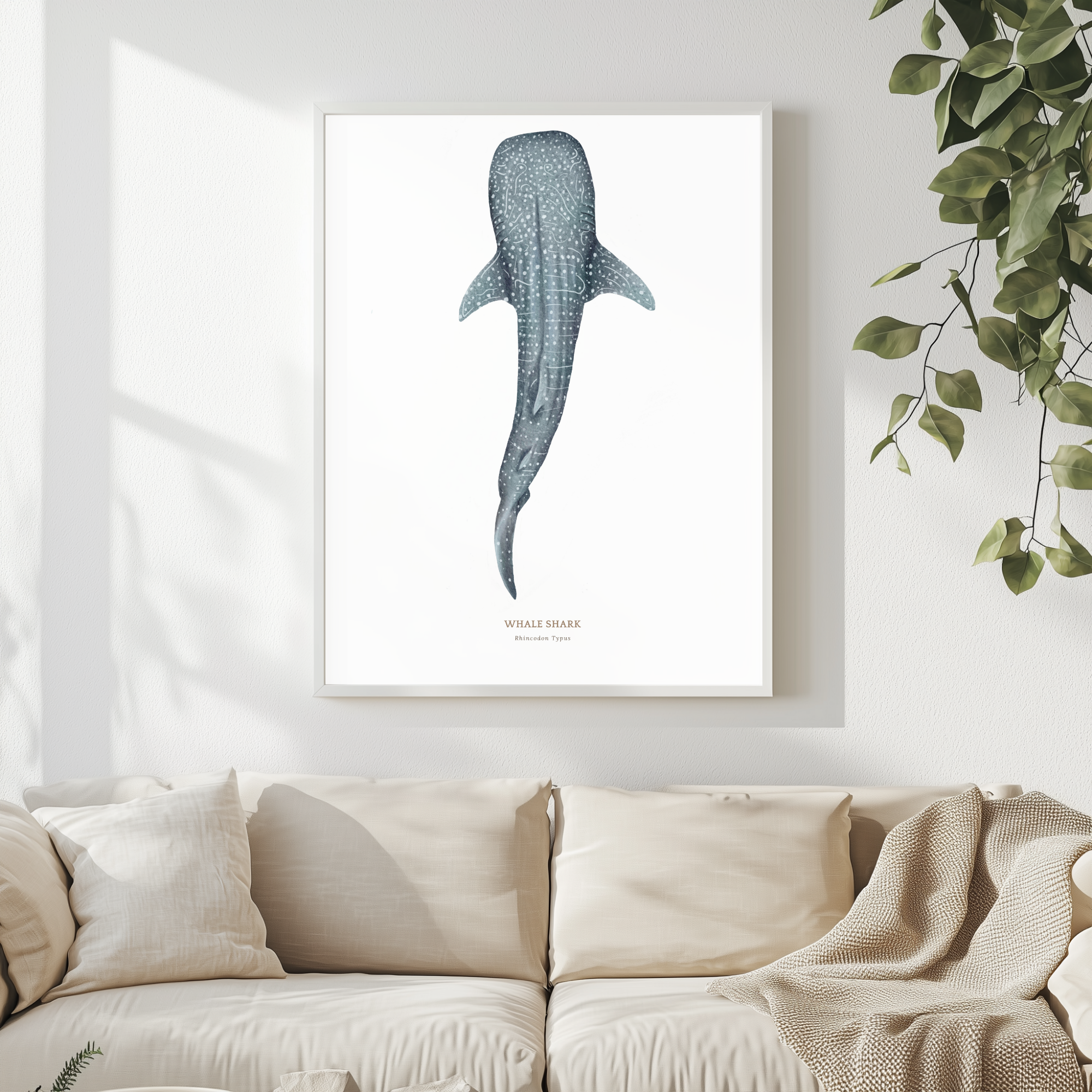 Copy of Can Bundle Template 40 Frames without Shadow Layer (2).png