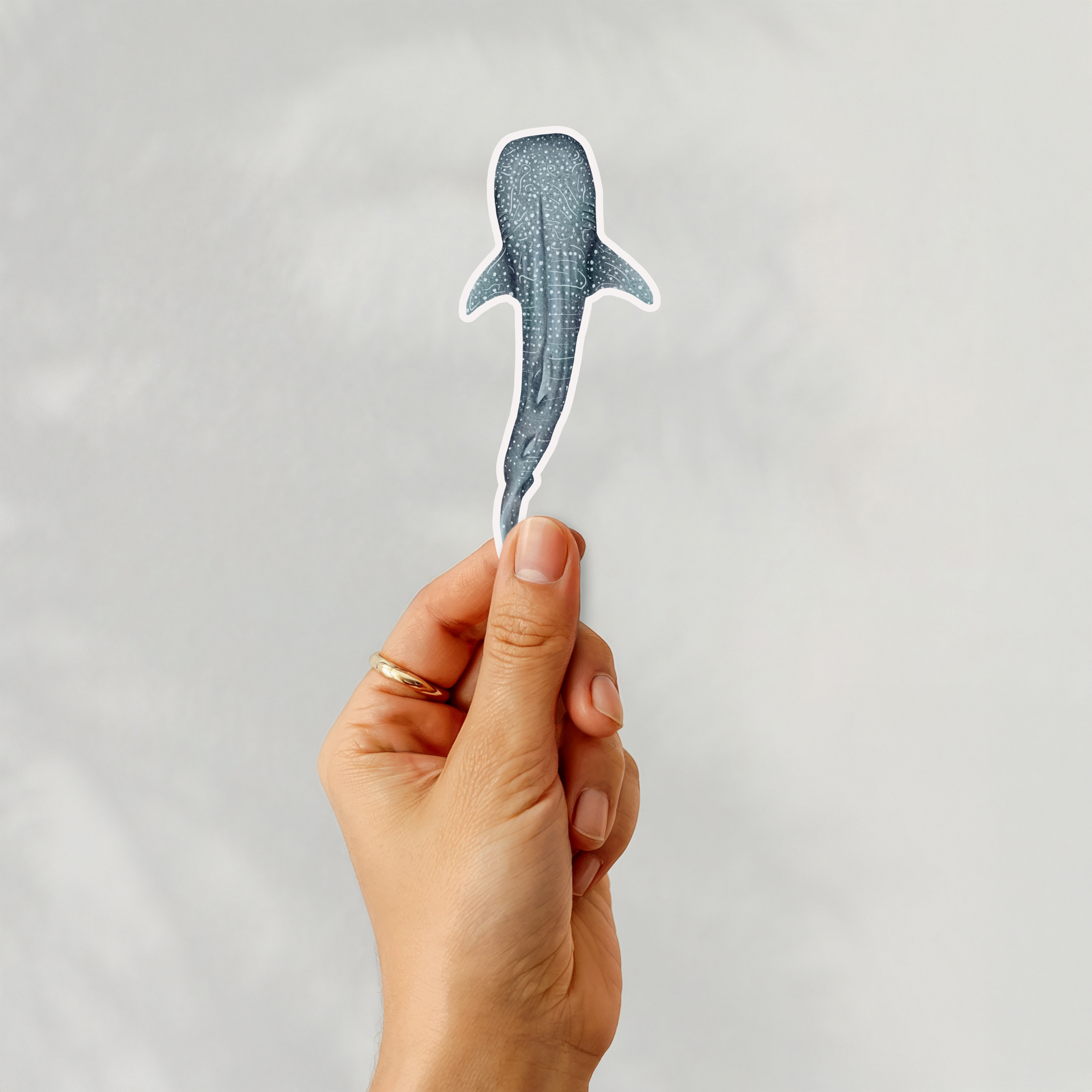 Whale Shark Sticker