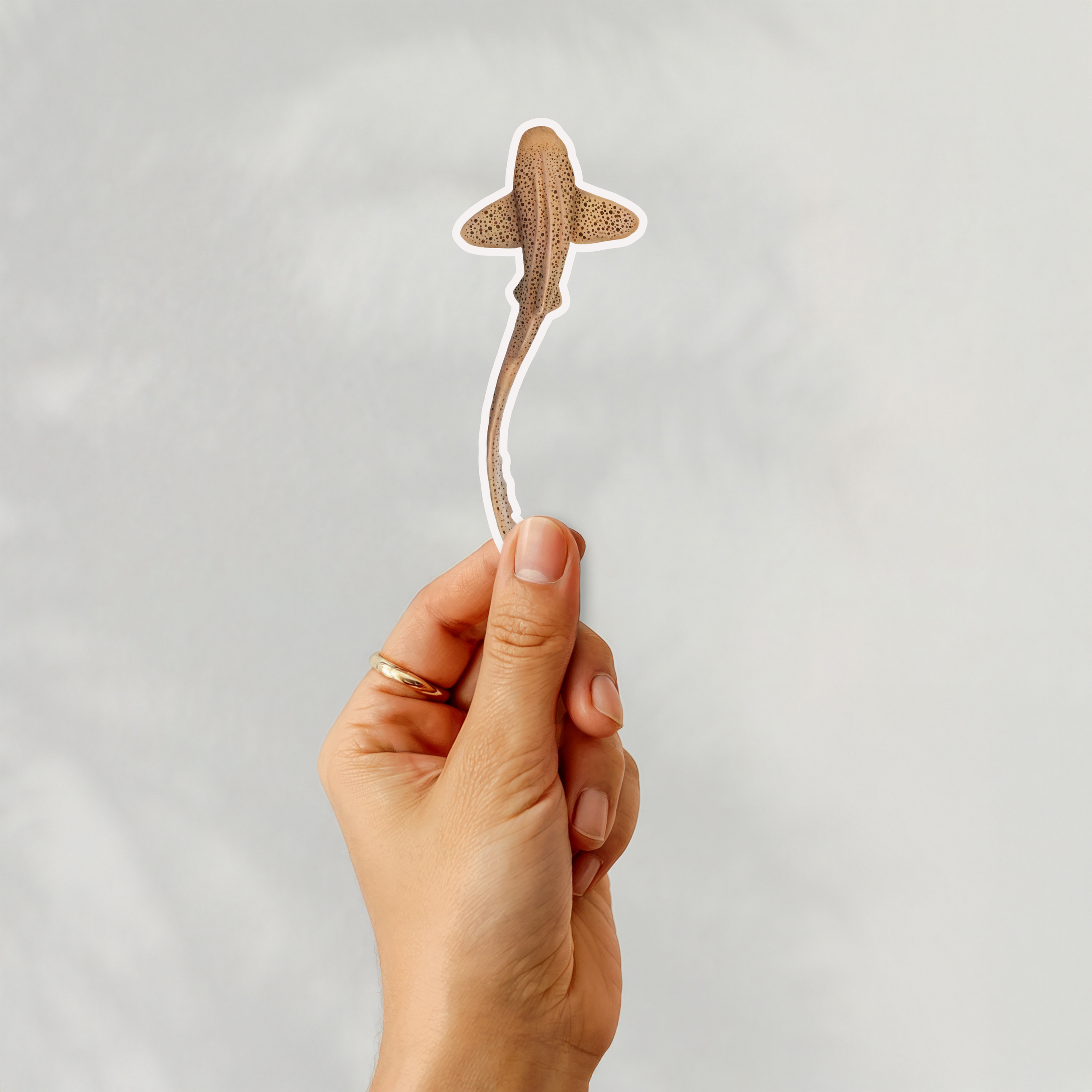 Leopard Shark Sticker