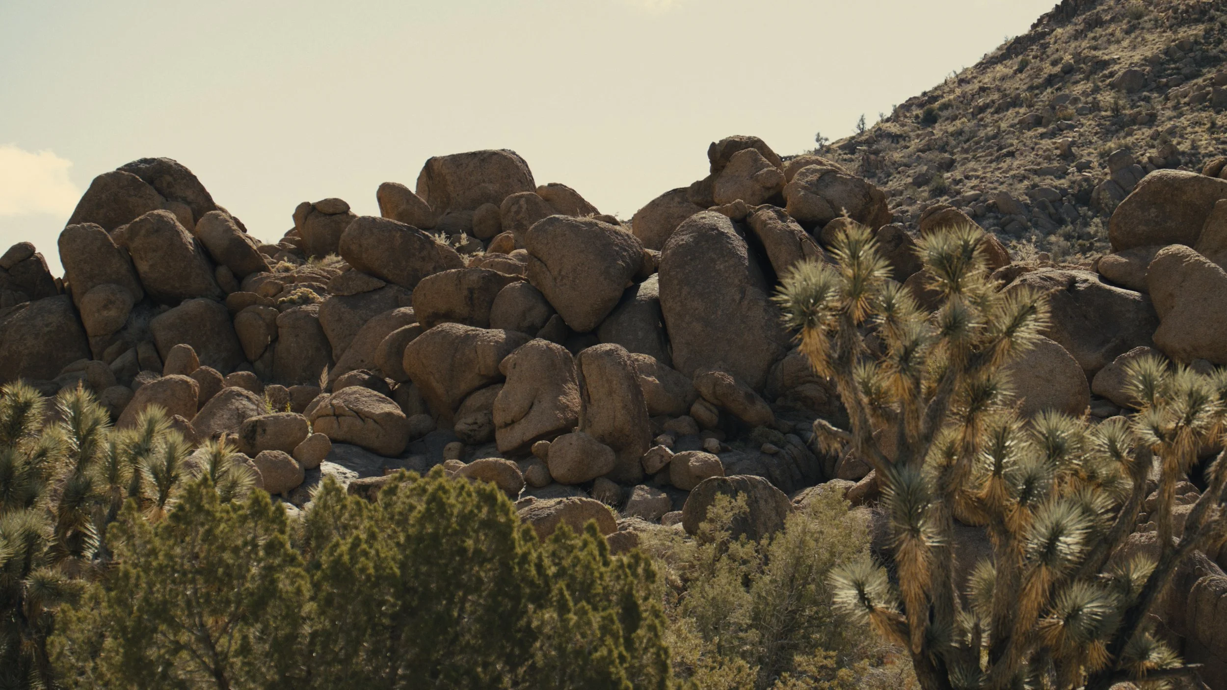 Santerra_CineStills_Widescreen02_4.2.15.jpg